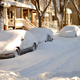 Illustration for article titled Chiberia Rising, in Pictures: Man, Last Nights Blizzard Sure Did Suck